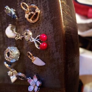 Pandora Charms